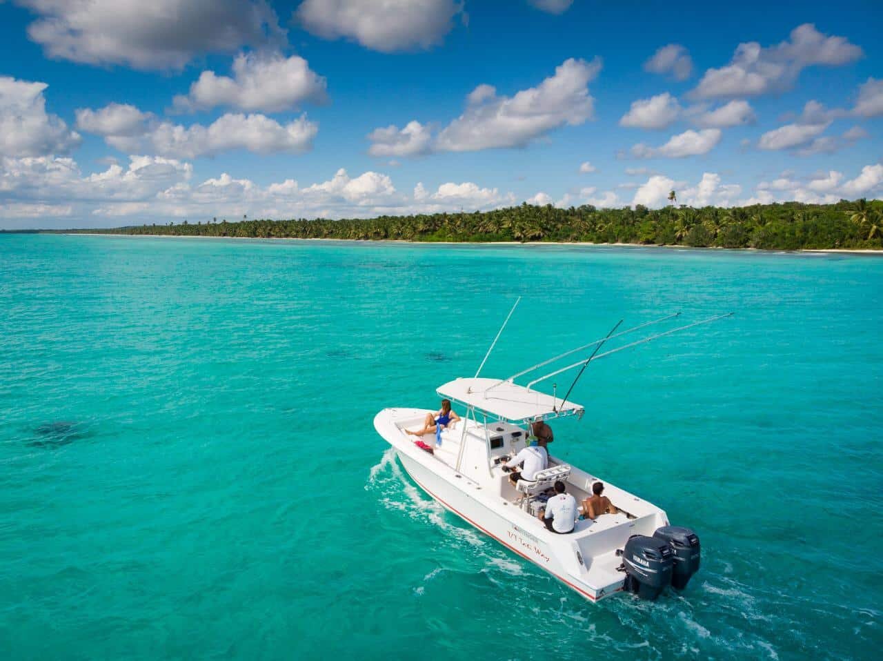 barco-privado-contender-isla-saona-palmilla