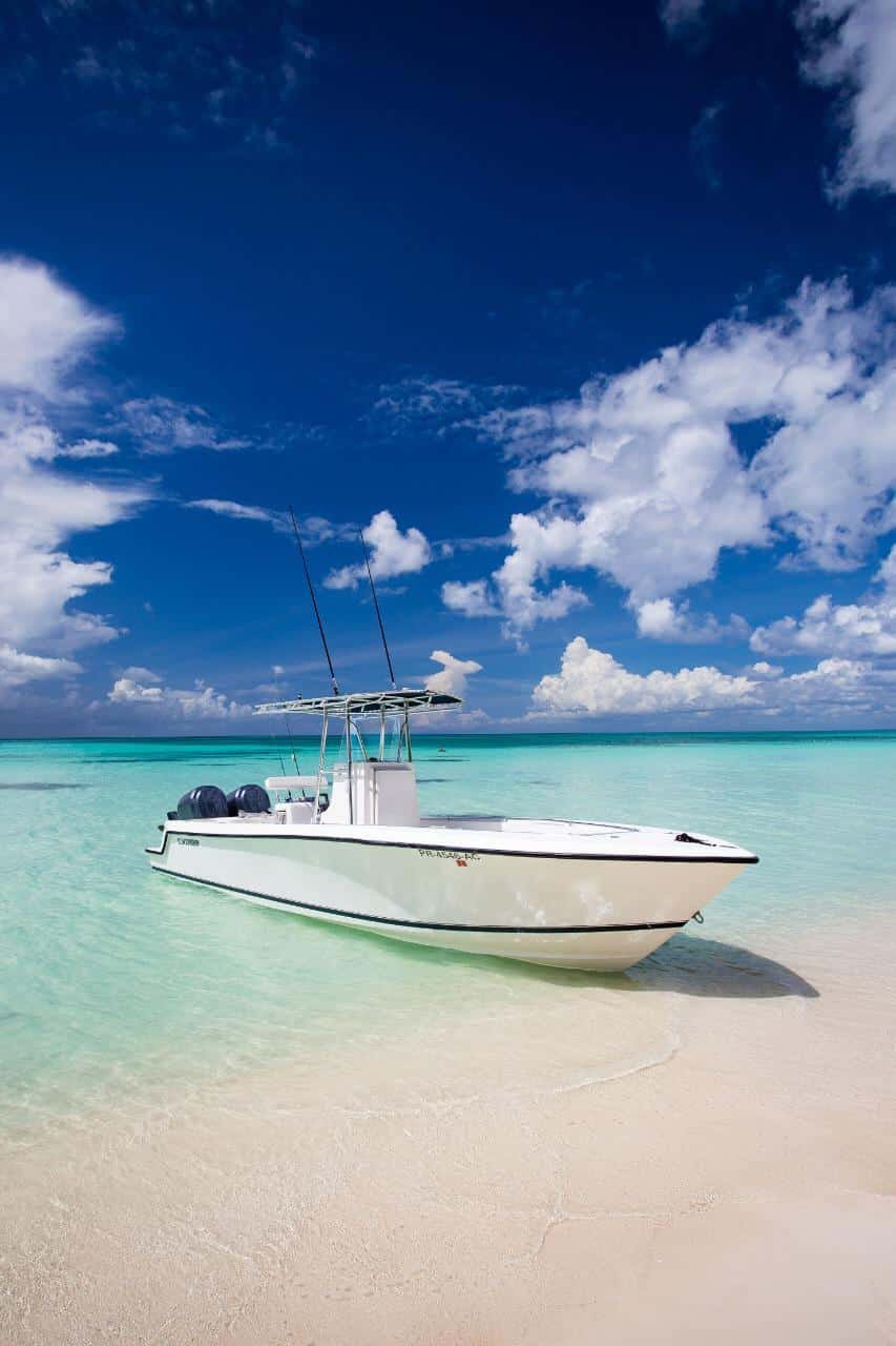 contender-private-boat-charter-beach