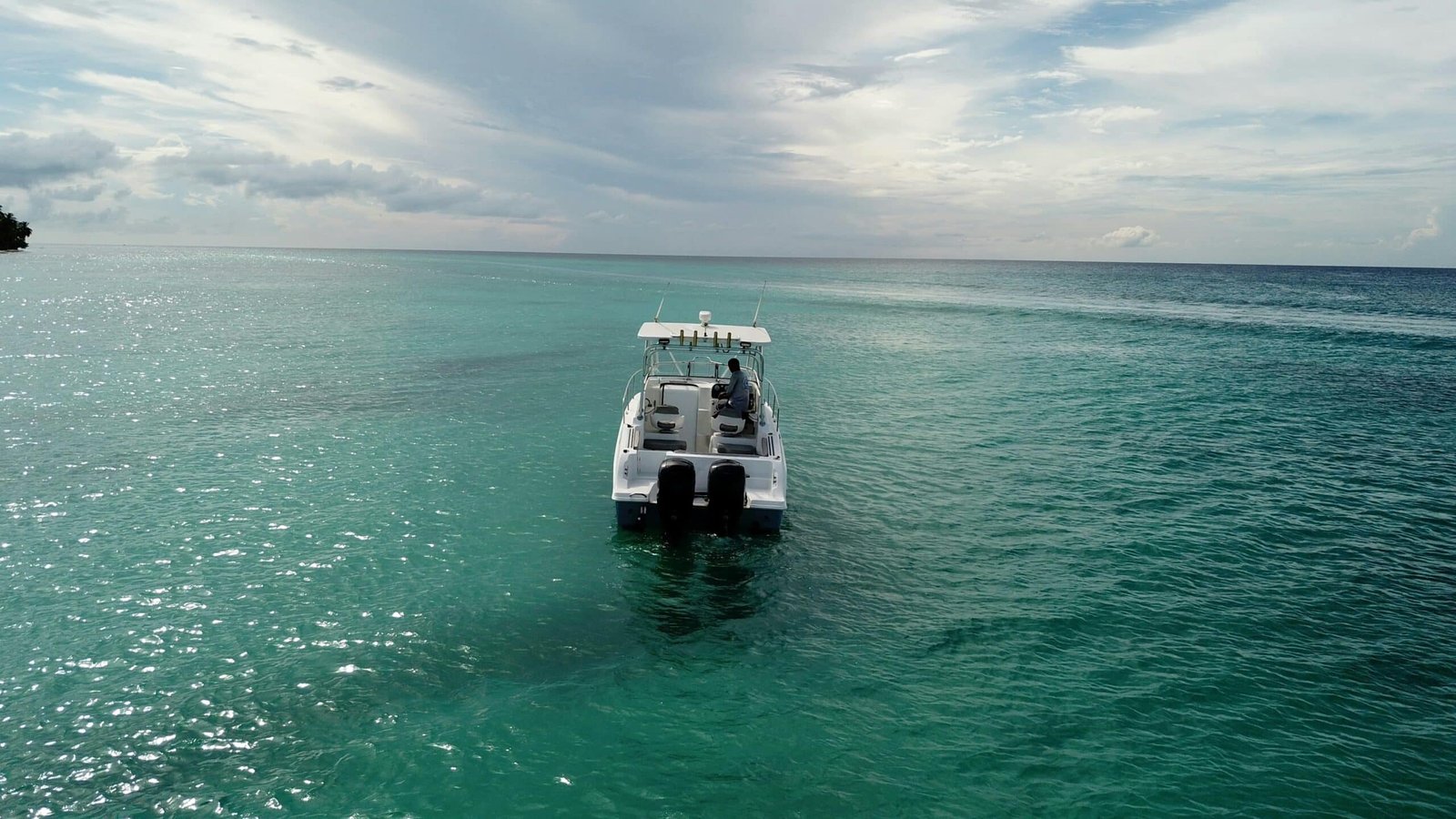 wellcraft-private-boat-saona-trasero