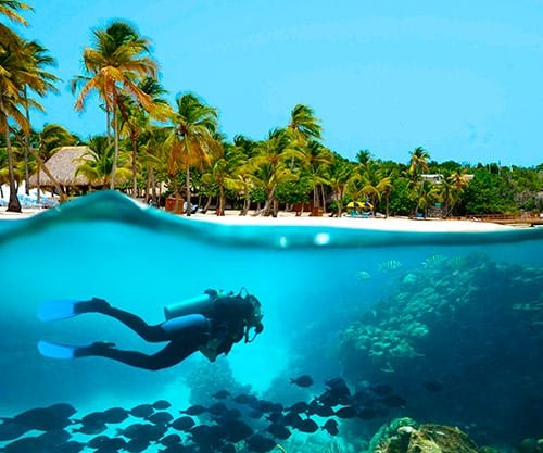 Snorkel-in-punta-cana