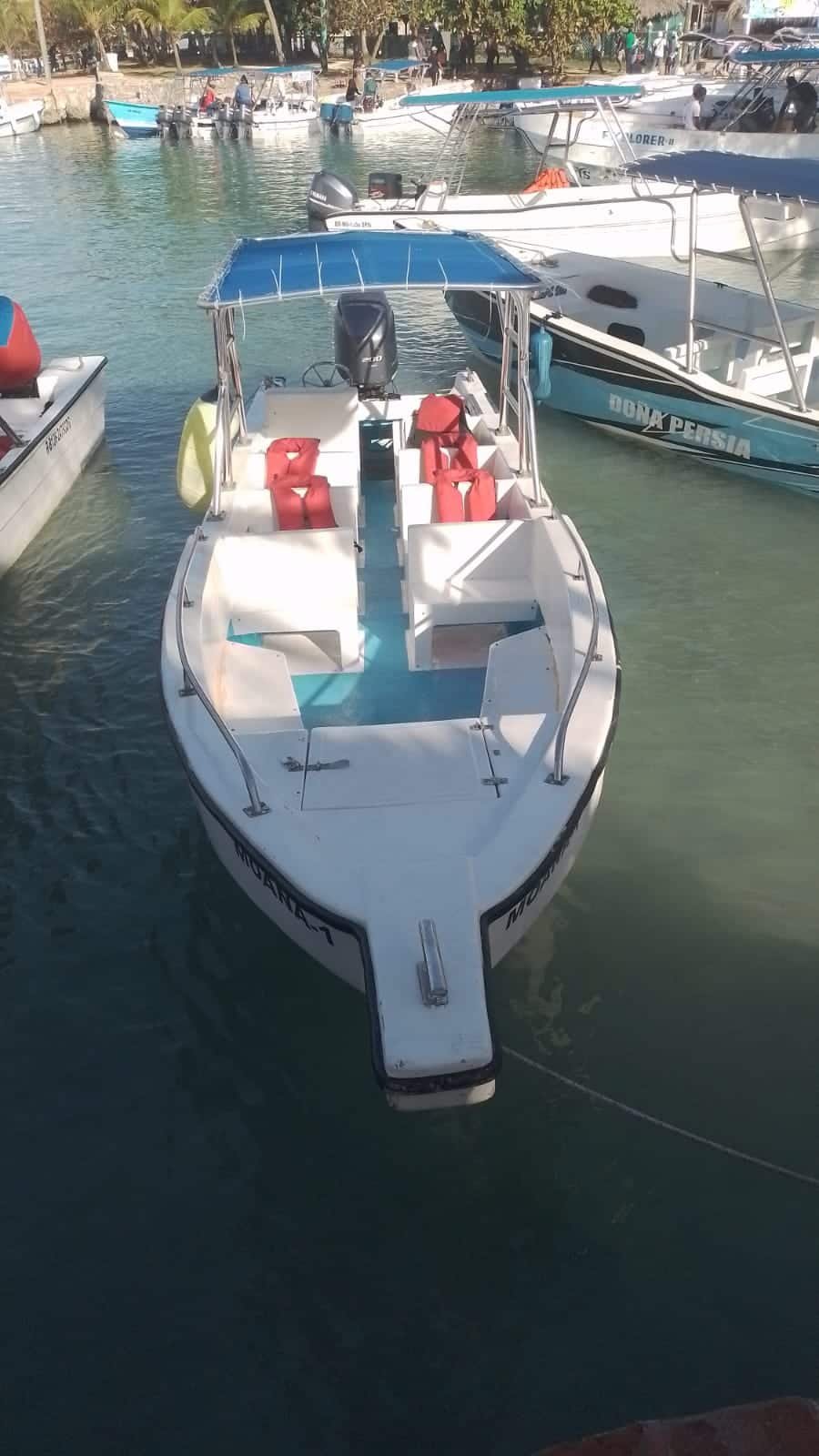 private-boat-to-saona-island-moana-16ft