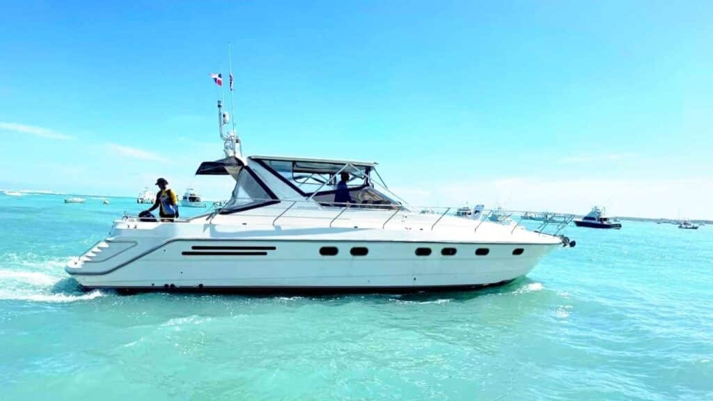 private-boat-to-punta-cana-jellyfish