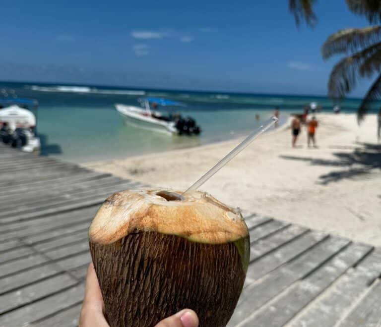 saona-island-excursion