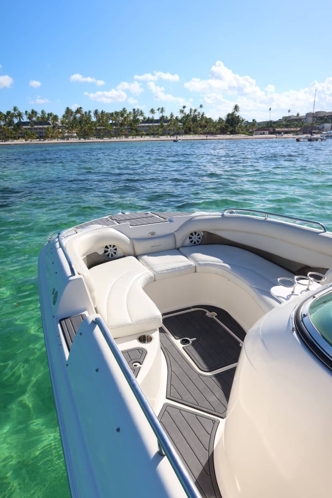 private-boat-jellyfish-II-Bávaro-Punta-Cana-back2