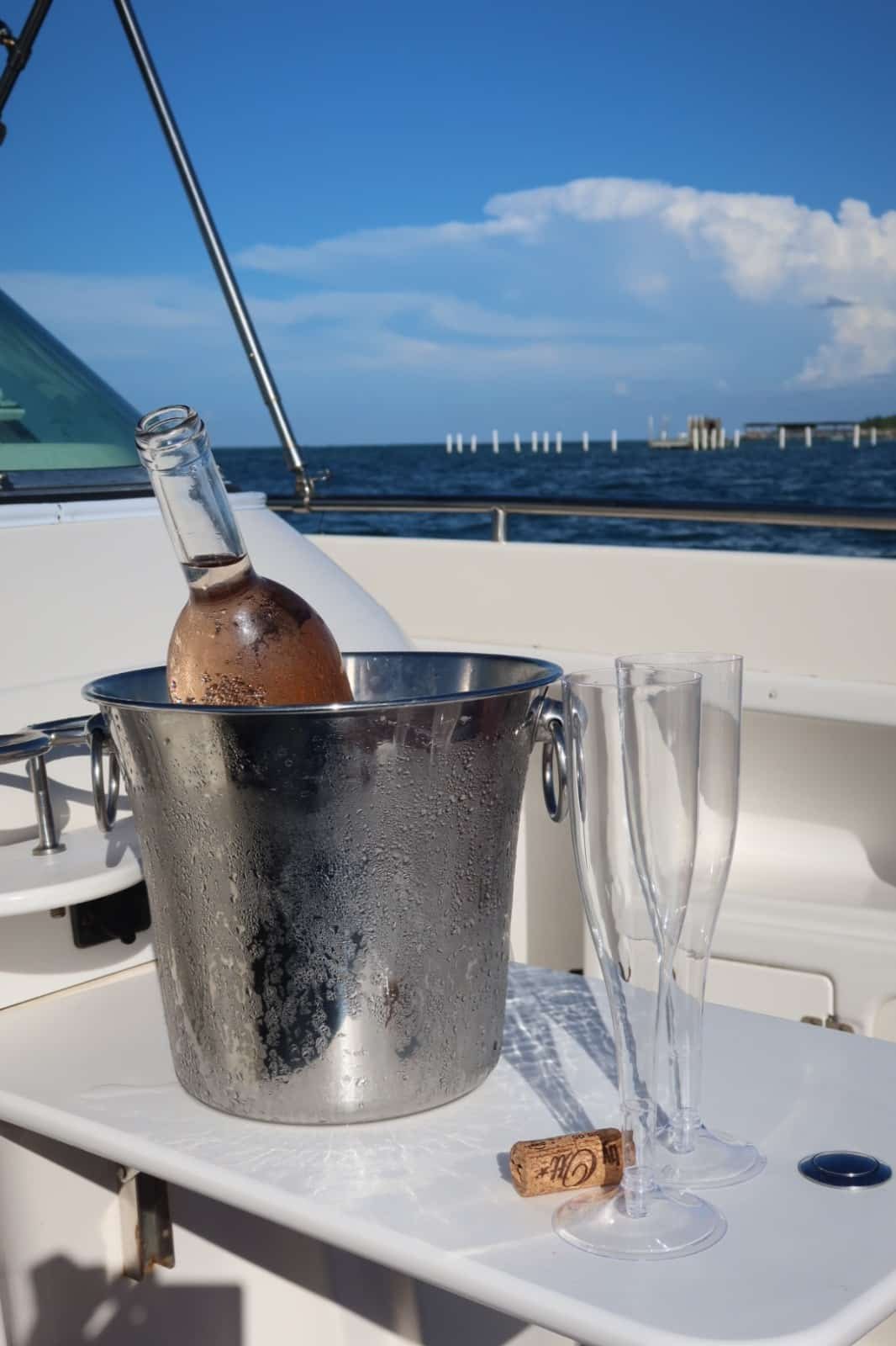 barco-privado-jellyfish-II-bávaro-punta-cana-vino