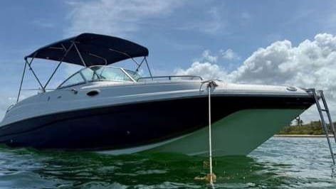 barco-privado-jellyfish-II-bávaro-punta-cana