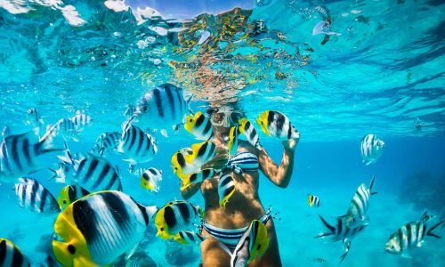 tour-isla-catalina-privado-snorkeling3